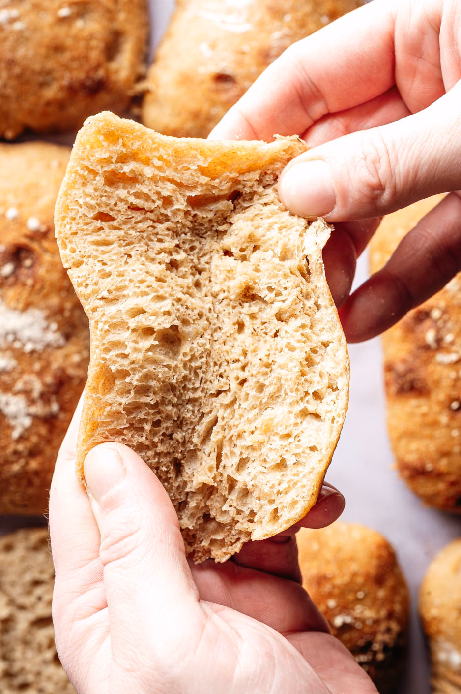 Ciabatta with sourdough
