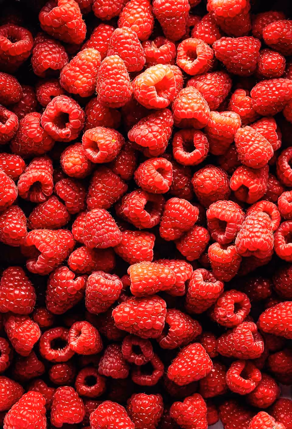 Fresh raspberries